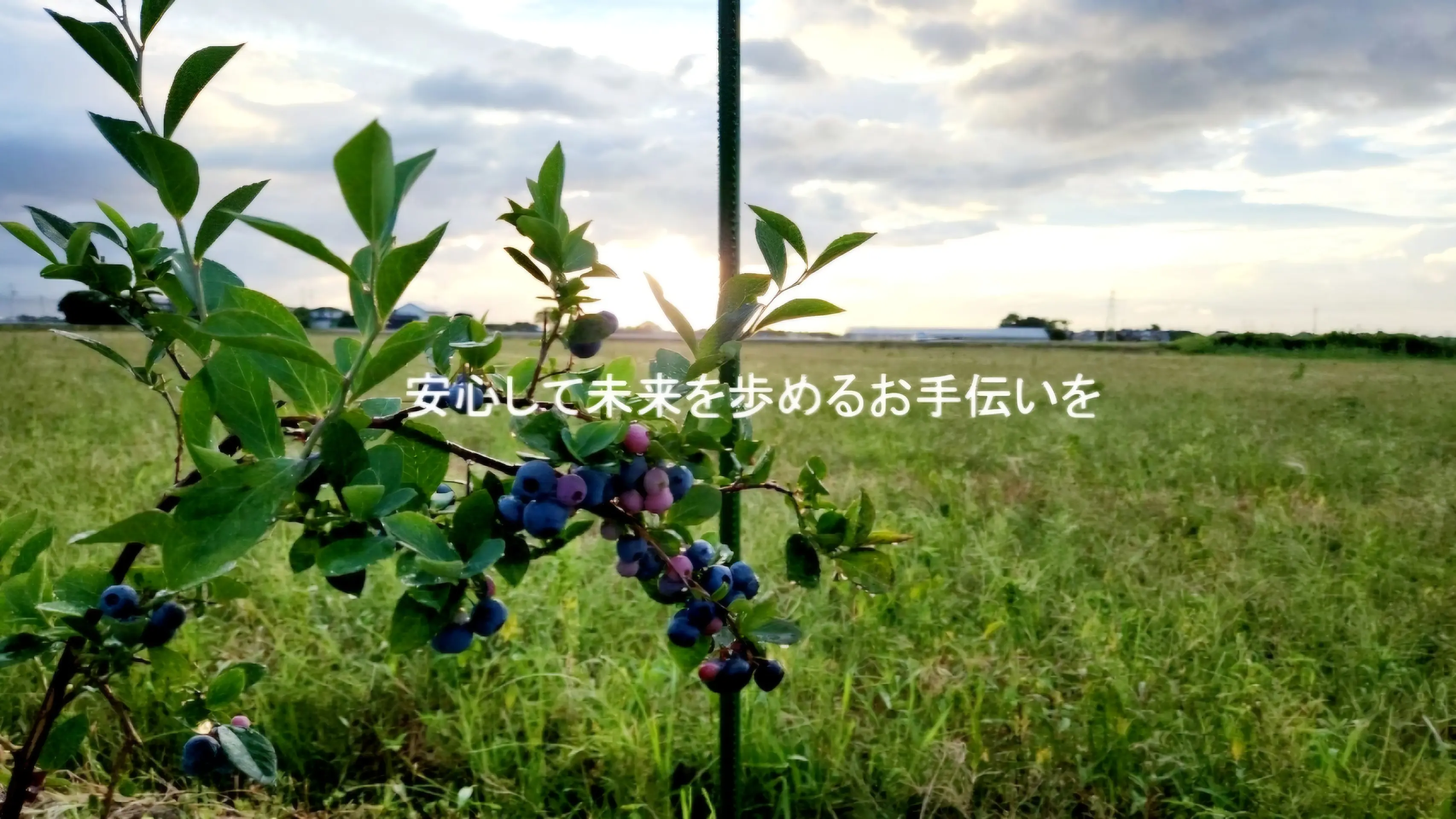 安心して未来を歩めるお手伝いを